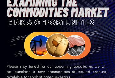 Examining the Commodities Market: Risk and Opportunities