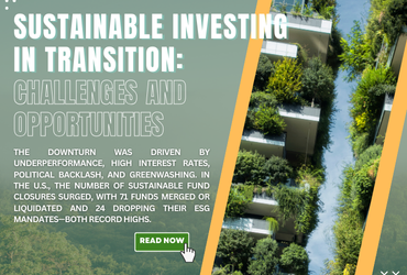 Sustainable Investing in Transition: Challenges and Opportunities